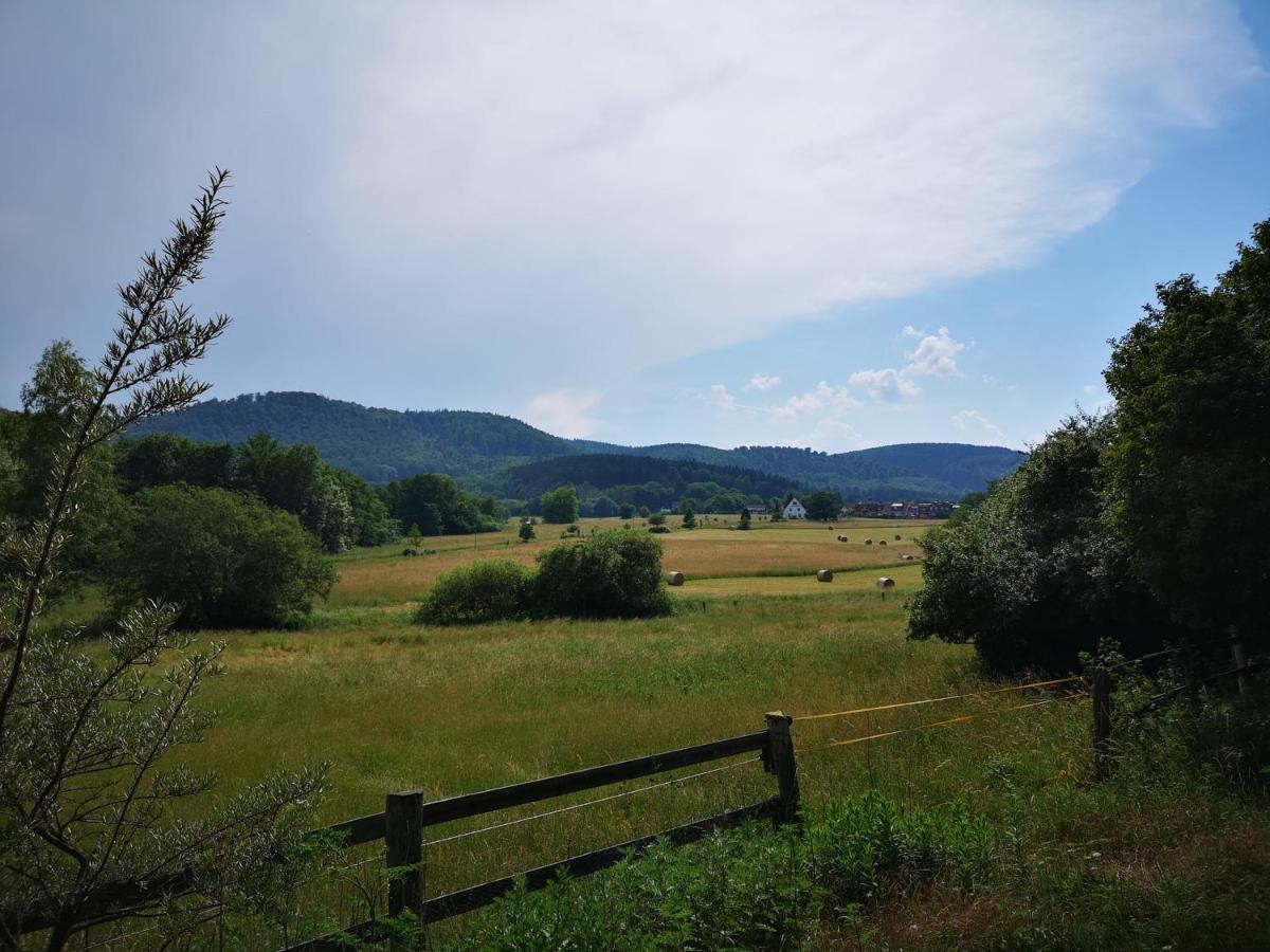 Apartment Harzblick *